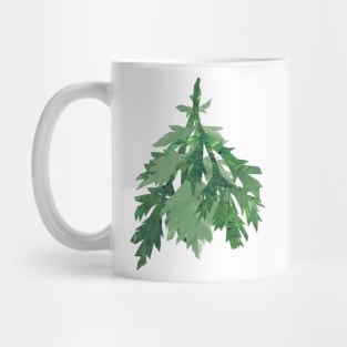 Mugwort (Bollan bane) Mug